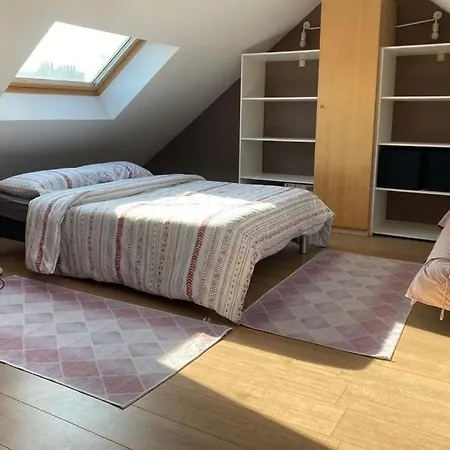 Duplex Lille-3e Etage-sans Ascenseur Apartment *